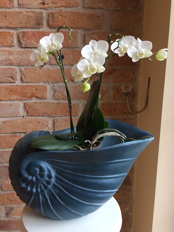 Blumentopf, Schneckenmuschel. 25 cm.